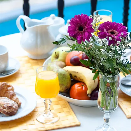 Ona Ogisaka Garden 3* Denia