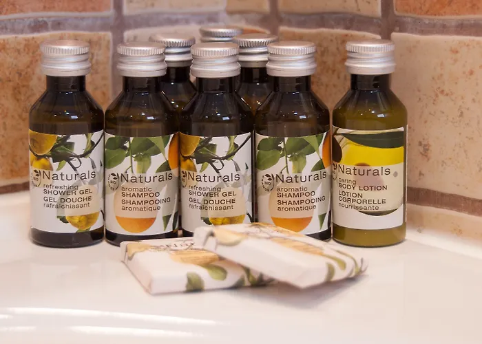 Ona Ogisaka Garden 3*